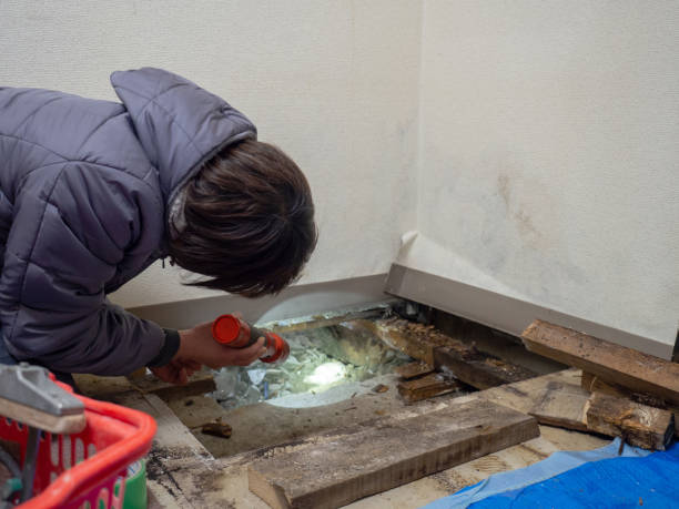 Best Dehumidification Services  in Paris, IL